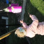 IMG 5355