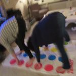 IMG 3780
